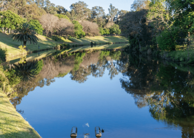 Rapid response helps protect Parramatta river