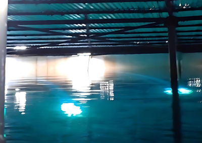 Thorough condition assessment reduces risk and provides operational reliability